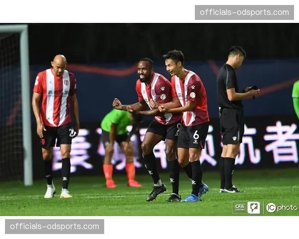 河南队对成都蓉城历史交锋，防守反击效率与控球率关系研究